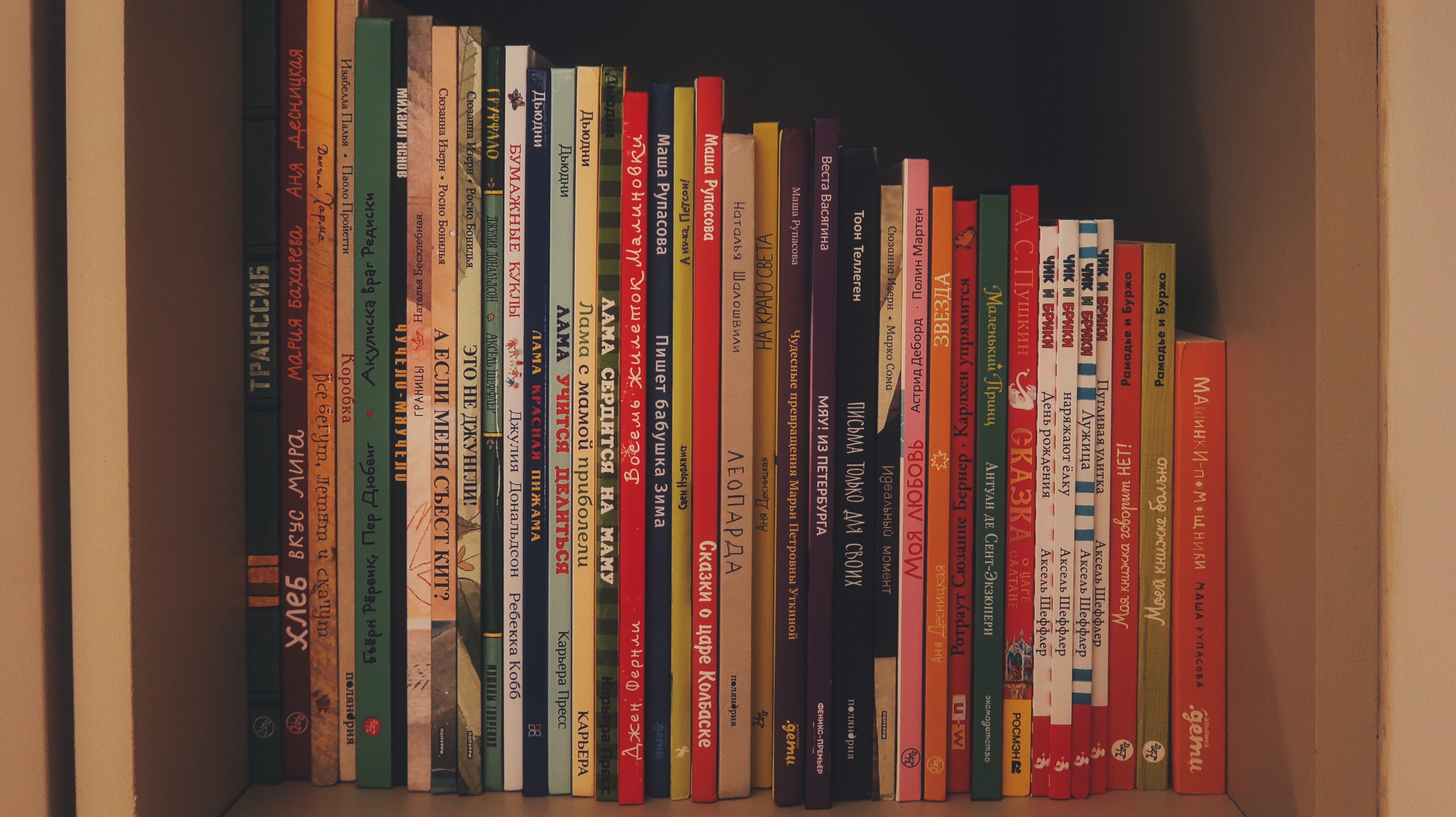 shelf full of books