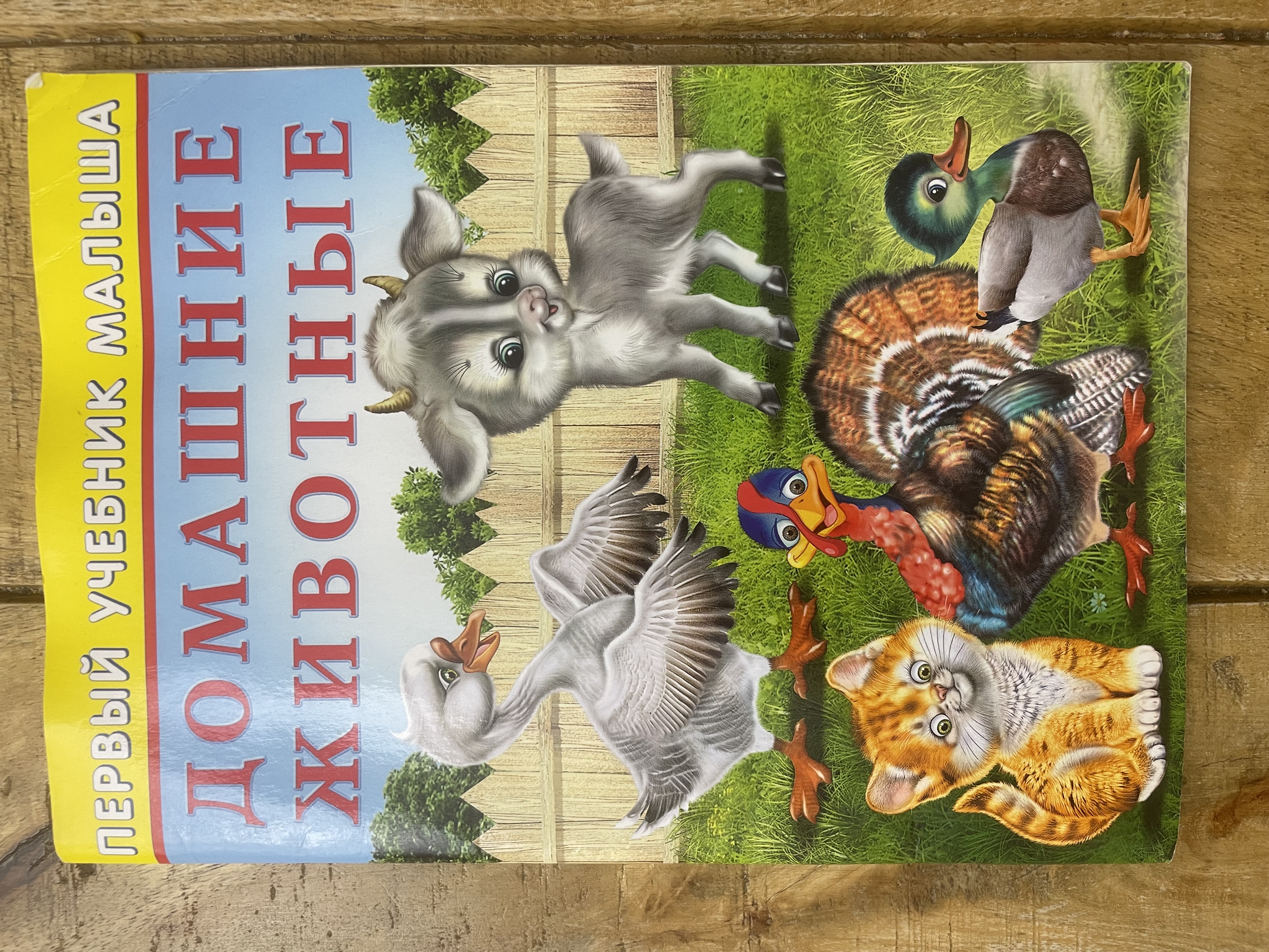 Домашние животные